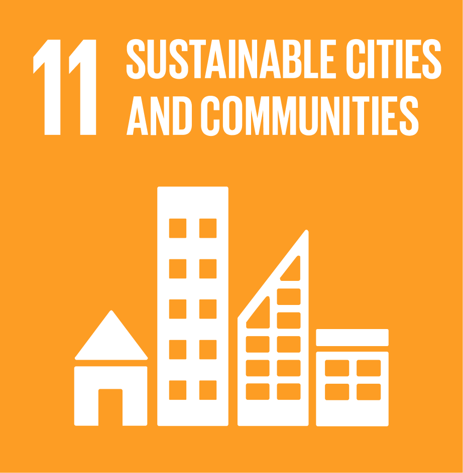 SDG 11