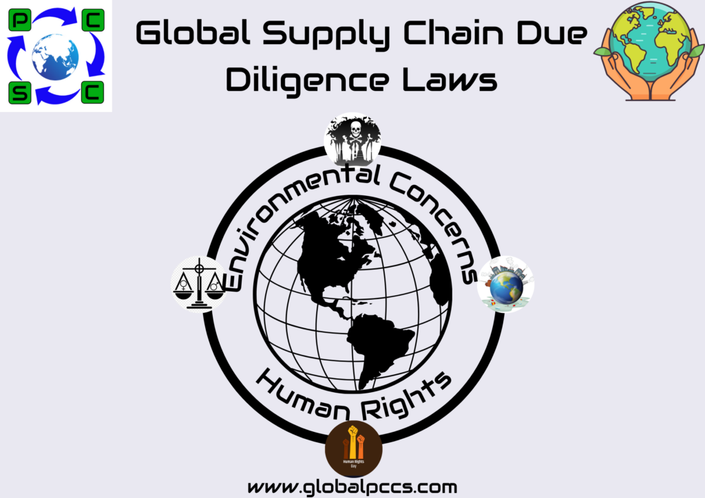 Global Supply Chain Due Diligence Laws