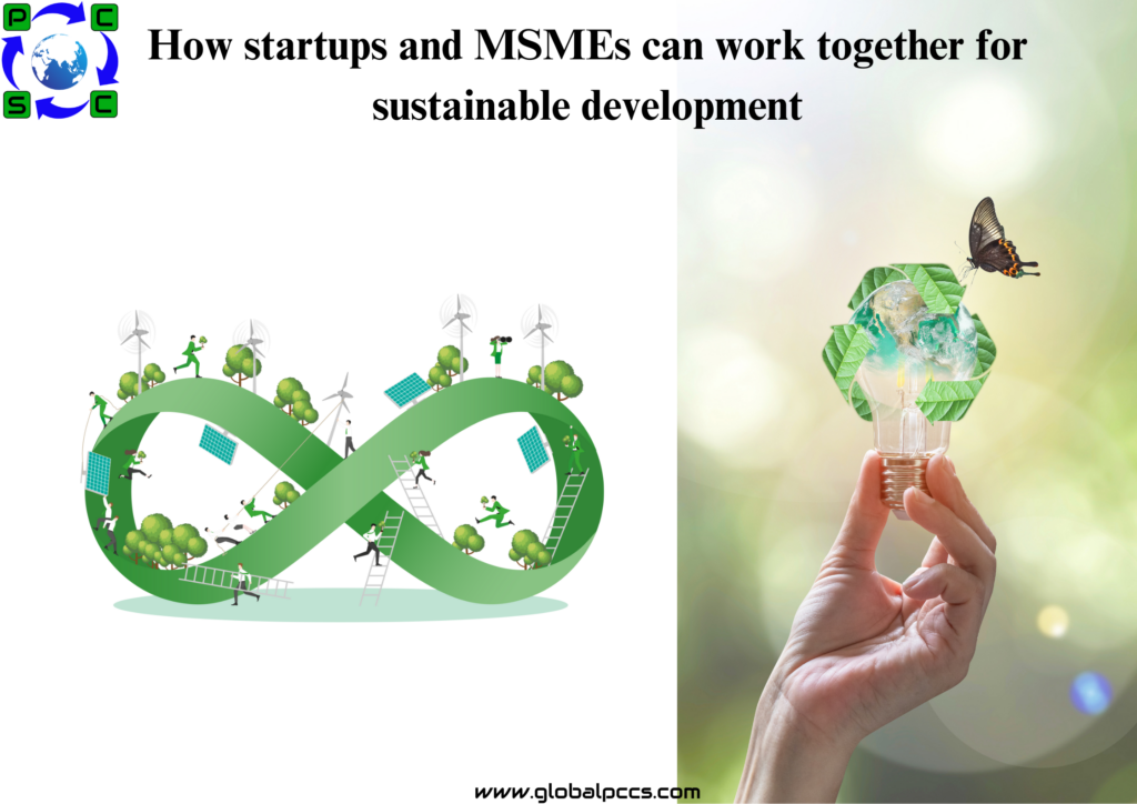 How startups and MSMEs can work together for sustainable development