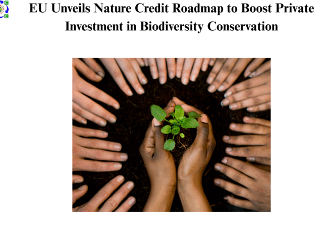 EU Unveils Nature Credit Roadmap to Boost Private Investment in Biodiversity Conservation
