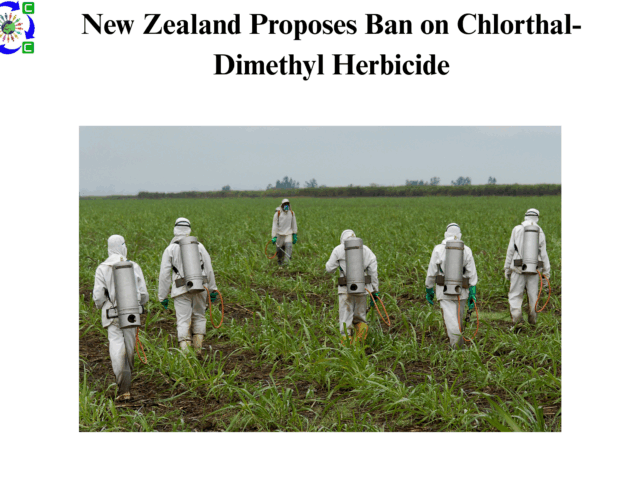 New Zealand Proposes Ban on Chlorthal-Dimethyl Herbicide