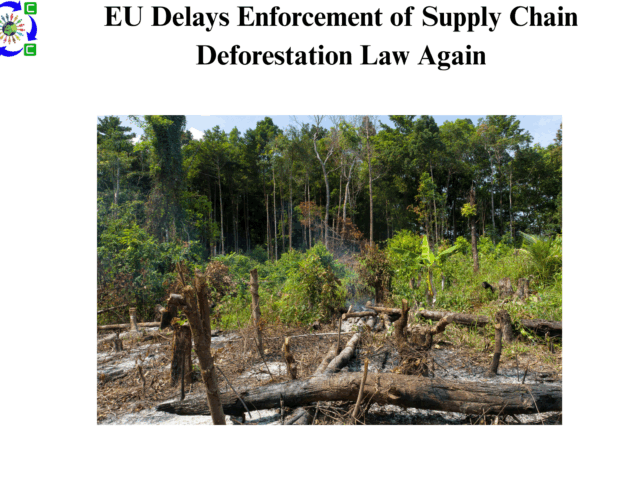 EU Delays Enforcement of Supply Chain Deforestation Law Again