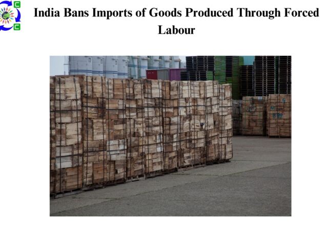 India Bans Imports of Goods Produced Through Forced Labour