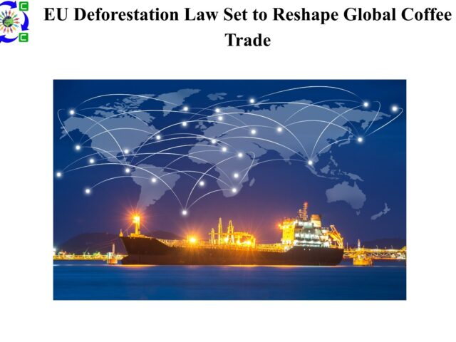 EU Deforestation Law Set to Reshape Global Coffee Trade